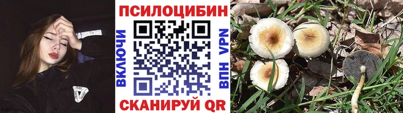 Галлюциногенные грибы мицелий  дарнет шоп  Дедовск 