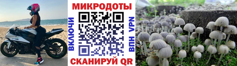 Псилоцибиновые грибы мухоморы Дедовск